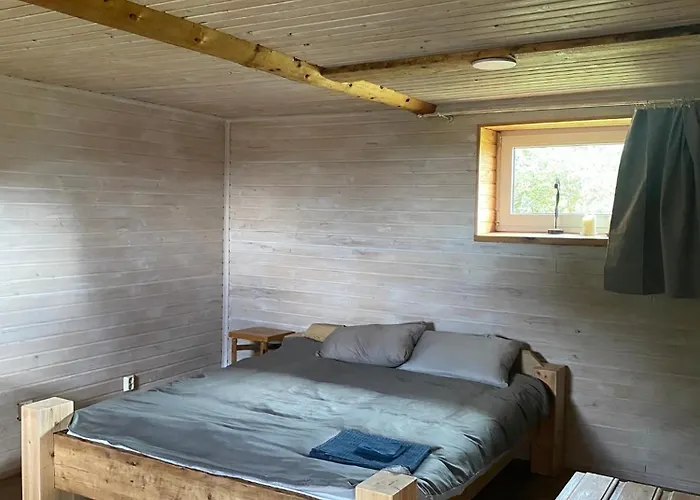 Vesilinnu Apartamento *